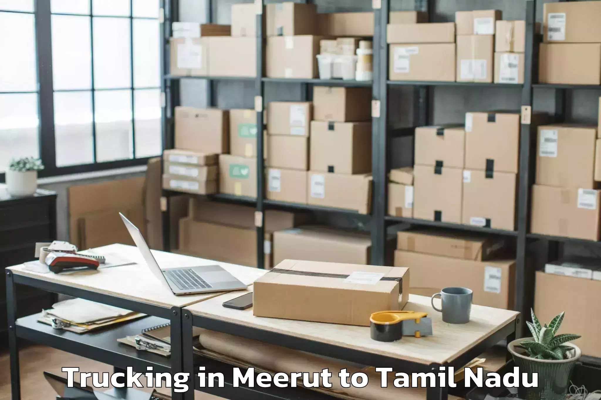 Book Meerut to Tiruchendur Trucking